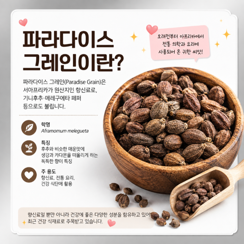 파라다이스 그레인 효능과 제대로 알고 고르는 법