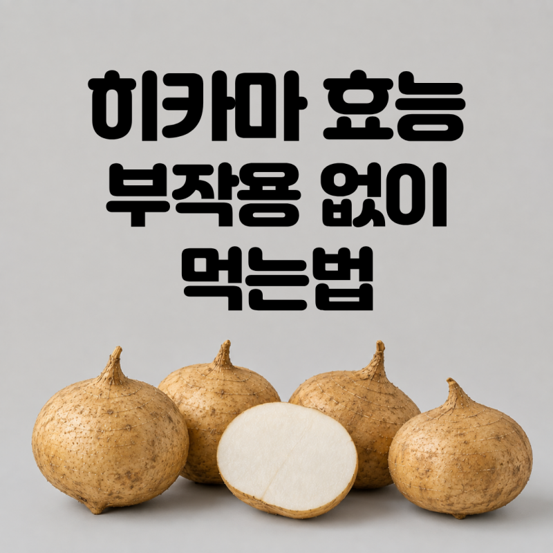 천연 인슐린이라 불리는 히카마 효능 부작용 없이 먹는법 보관법