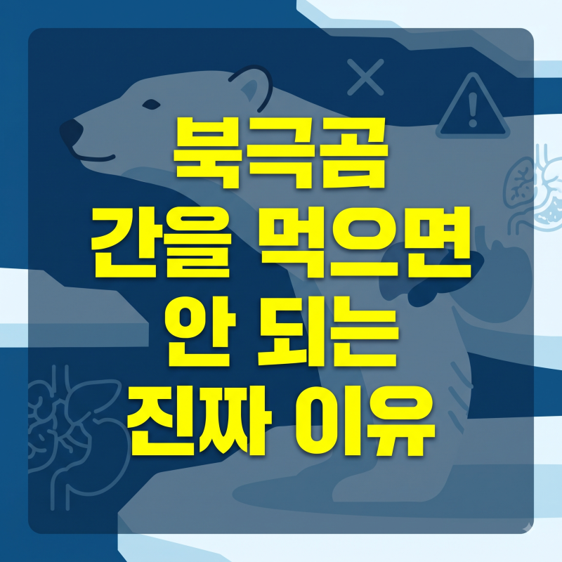 북극곰 간을 먹으면 안 되는 진짜 이유 (feat. 비타민 A의 두 얼굴)