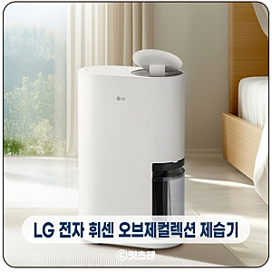 LG 휘센 오브제컬렉션 제습기 18L 내돈내산 후기