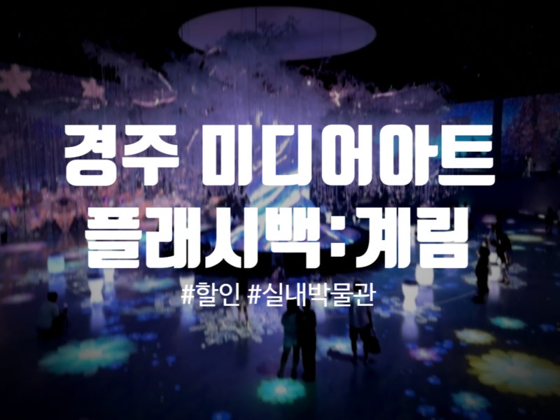 경주 플래시백 계림 할인 후기｜아이랑 신라로 떠나는 경주 실내 가볼만한곳