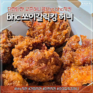 BHC치킨 메뉴 추천 쏘이갈릭킹 허니, 달콤바삭치즈볼 맛, 후기