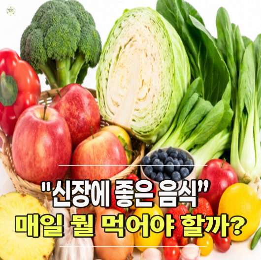 신장에 좋은 음식 추천｜콩팥 건강 챙기려면 매일 무엇을 먹어야 할까?