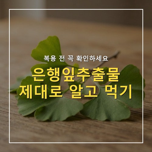 은행잎추출물 효능과 복용 주의사항, 혈액순환제와 겹칠 때 확인할 것