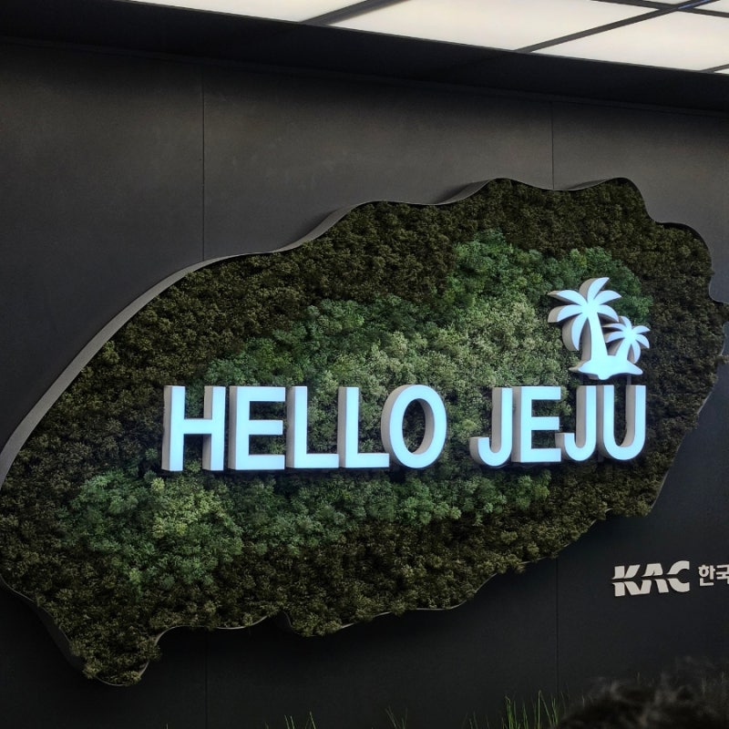 제주도 렌터카/롯데 렌터카 K5 2박 3일 사용한 내 돈 내산 후기(가격)