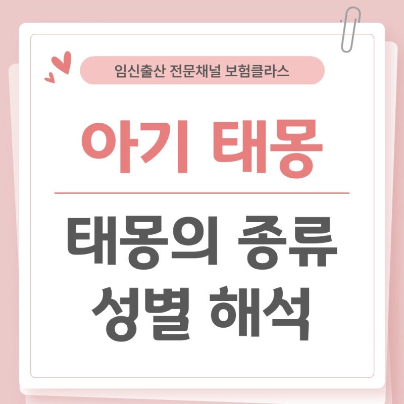 신비로운 아기 태몽 이야기 / 태몽의 종류와 성별 해석 완벽 가이드