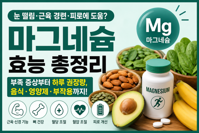 마그네슘 효능 총정리｜부족 증상부터 하루 권장량·많은 음식·영양제 먹는 법까지