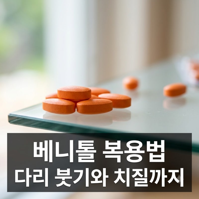 다리 붓기인 줄만 알았는데.. 약사도 챙겨 먹는다는 베니톨의 정체