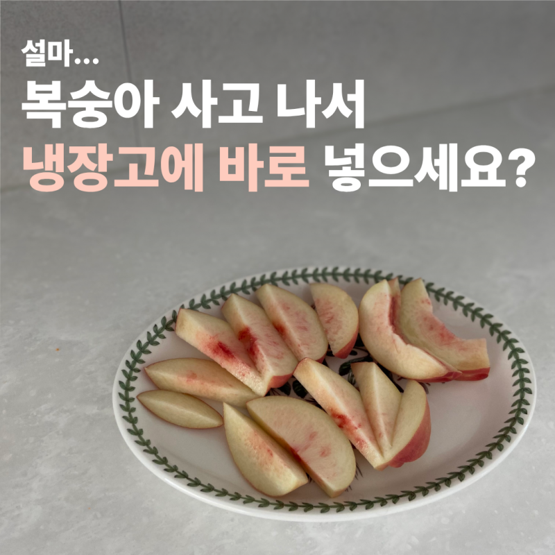 복숭아 보관법 냉장고에 바로 넣어도 될까요? 다들 모르는 순서 혹시 아세요?