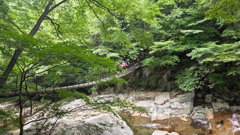 지리산 백무동(한신계곡)