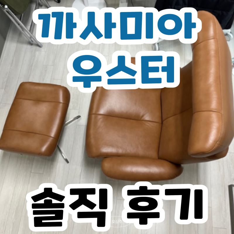 까사미아 우스터 1인 리클라이너 100만원대? 후기 572건 장단점 분석