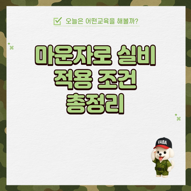 마운자로 실비 적용 조건 총정리