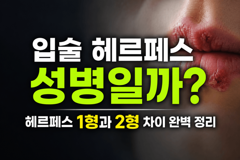 입술 헤르페스 성병일까? 헤르페스 1형과 2형 차이 완벽 정리