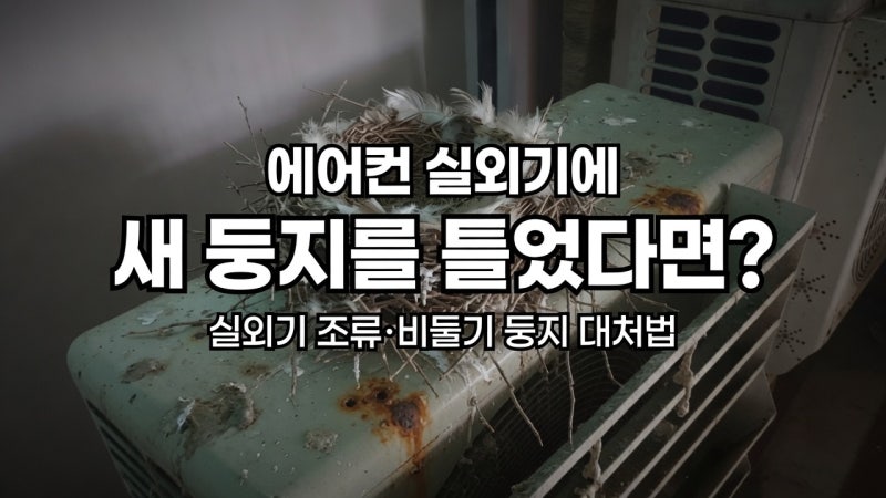에어컨 실외기에 새 둥지를 틀었다면? | 실외기 조류·비둘기 둥지 제거와 대처법