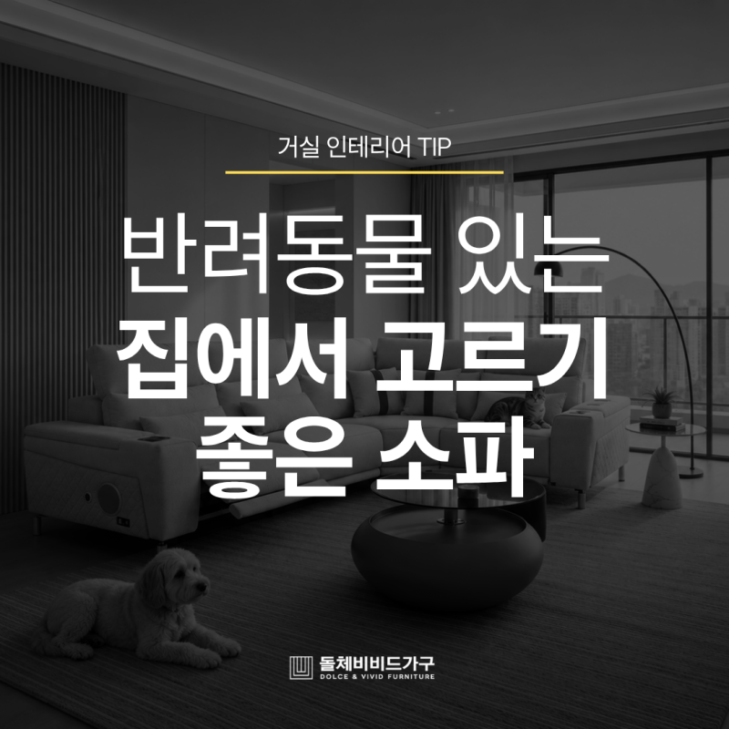 반려동물 있는 집에서 고르기 좋은 소파