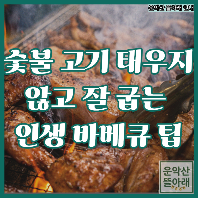 서울근교당일치기 캠크닉 바베큐 잘 굽는 법 (feat. 포천 바베큐 공간대여 운악산 뜰아래)