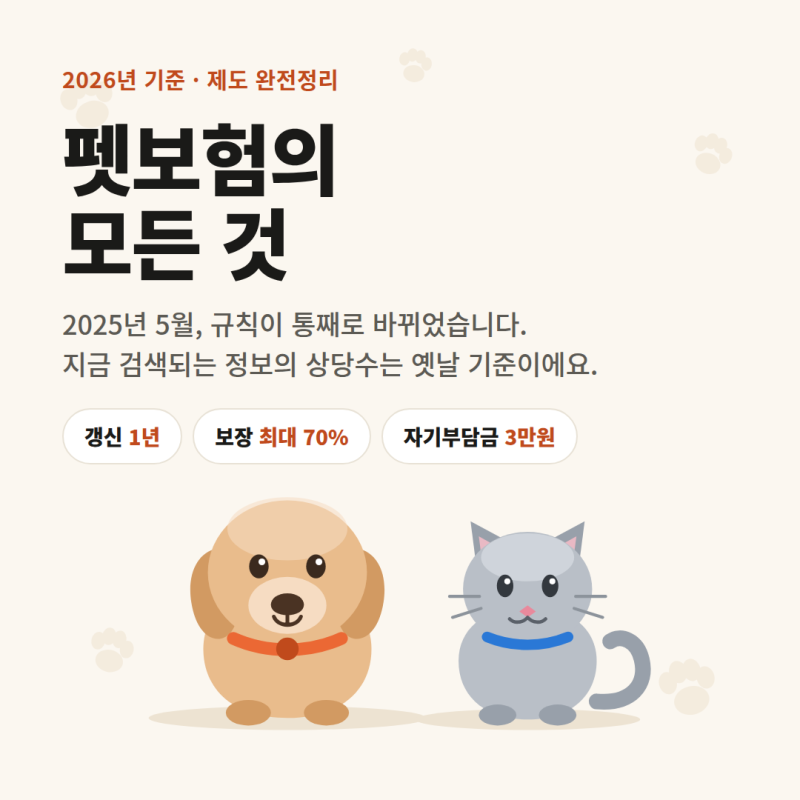 펫보험의 모든 것 (2026년 기준)