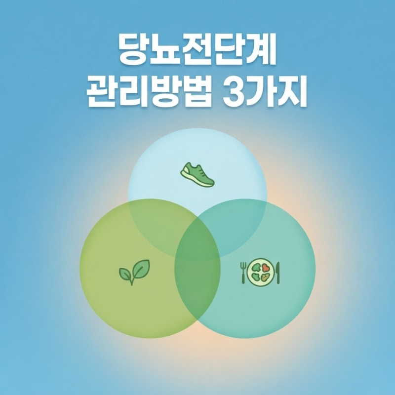 당뇨전단계 관리방법 3가지, 혈당 잡는 영양제 및 예방 운동 식단 짜기