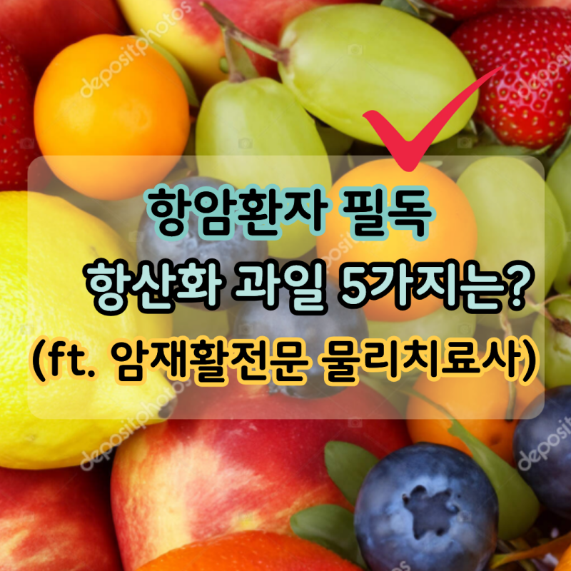 "암환자필독" 항암 중 도움되는 과일 5가지는? (ft. 암재활전문 물리치료사)