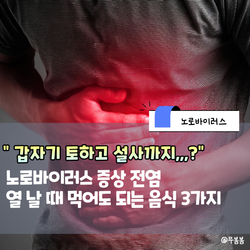 "갑자기 토하고 설사까지,,?" 노로바이러스 증상 전염 열 날 때 먹어도 되는 음식 3가지