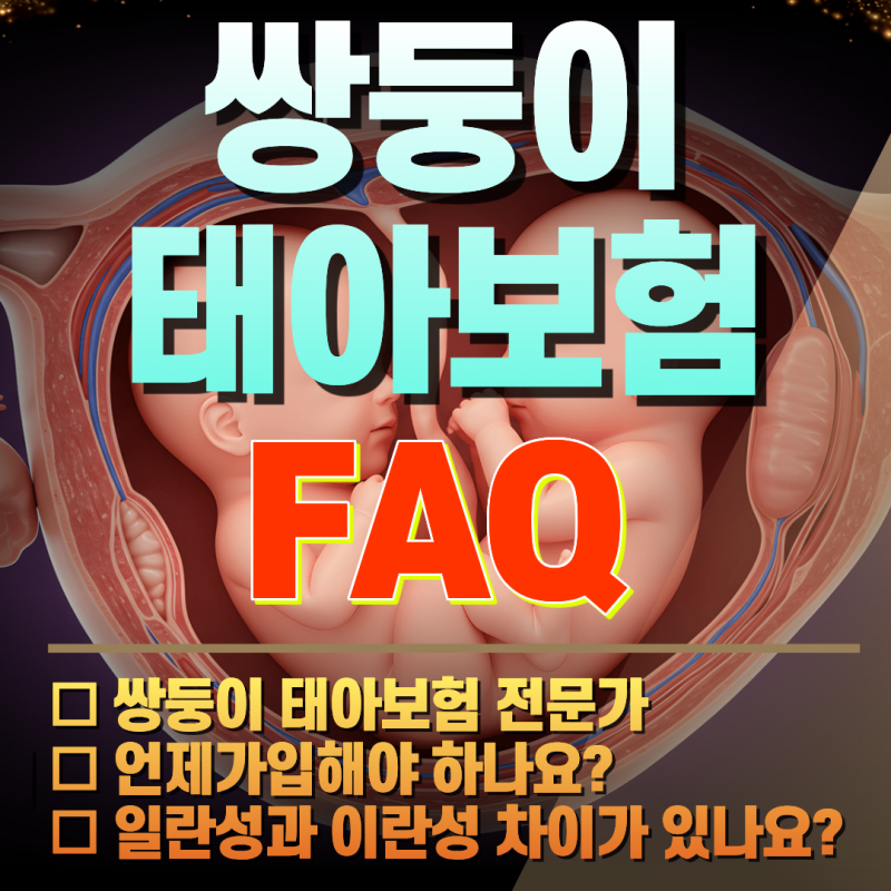 쌍둥이 태아보험 가입시기와 가입하는 법(일란성 쌍둥이, 이란성 쌍둥이)