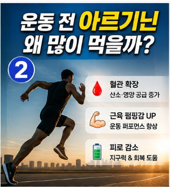 아르기닌 효능 7가지, 공복에 먹어야 할까? 하루 섭취량·복용법·부작용 총정리