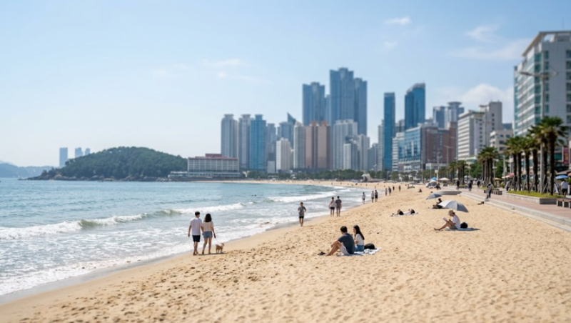 해수욕장 폐장일 2026 총정리｜대부분 8월 말 끝, 9월까지 하는 곳은 어디