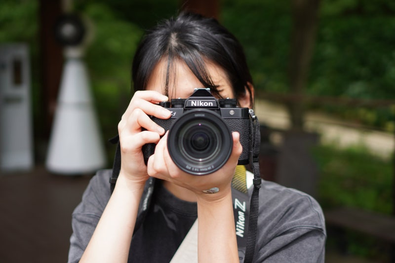미러리스 카메라 추천 니콘 Zf 8월 화담숲 여름 출사 후기