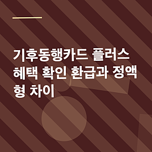 기후동행카드 플러스 혜택 확인 환급과 정액형 차이