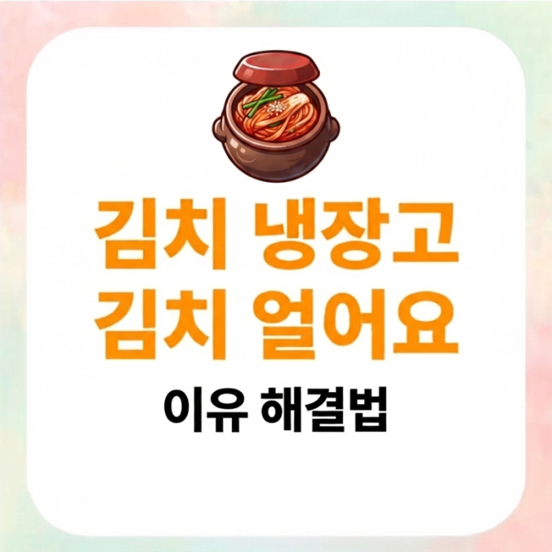 딤채 김치냉장고 김치 얼어요! 원인과 완벽 해결법