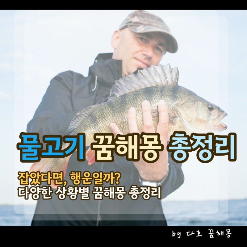 물고기 꿈 해몽 총정리, 큰 물고기 잡는 꿈부터 잉어·금붕어·태몽까지