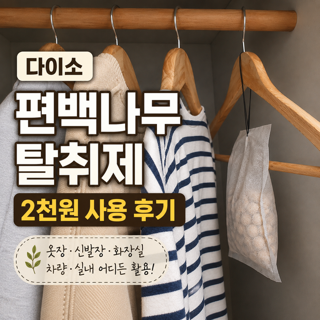 다이소 편백큐브 탈취제 2천원 후기, 옷장탈취제부터 신발·신발장·화장실·차량·실내 활용....