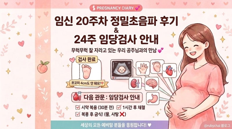 [] 임신 20주차 정밀초음파 후기 및 임당검사 준비