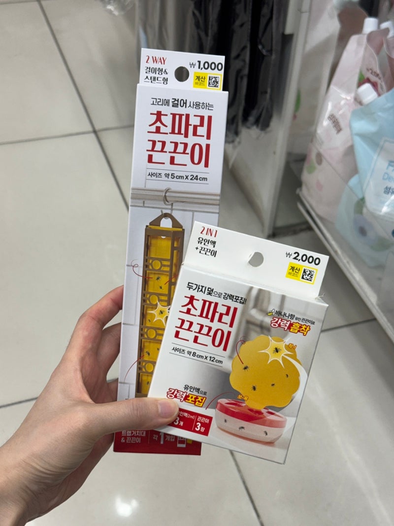 다이소 초파리 트랩 끈끈이 내돈내산 실제 효과 후기