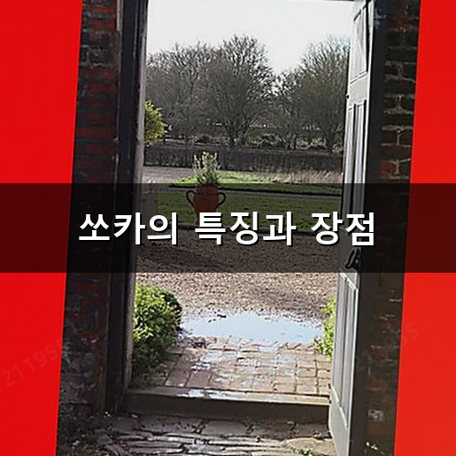 카셰어링 쏘카 그린카 두 서비스의 특징과 차이점 비교 정리