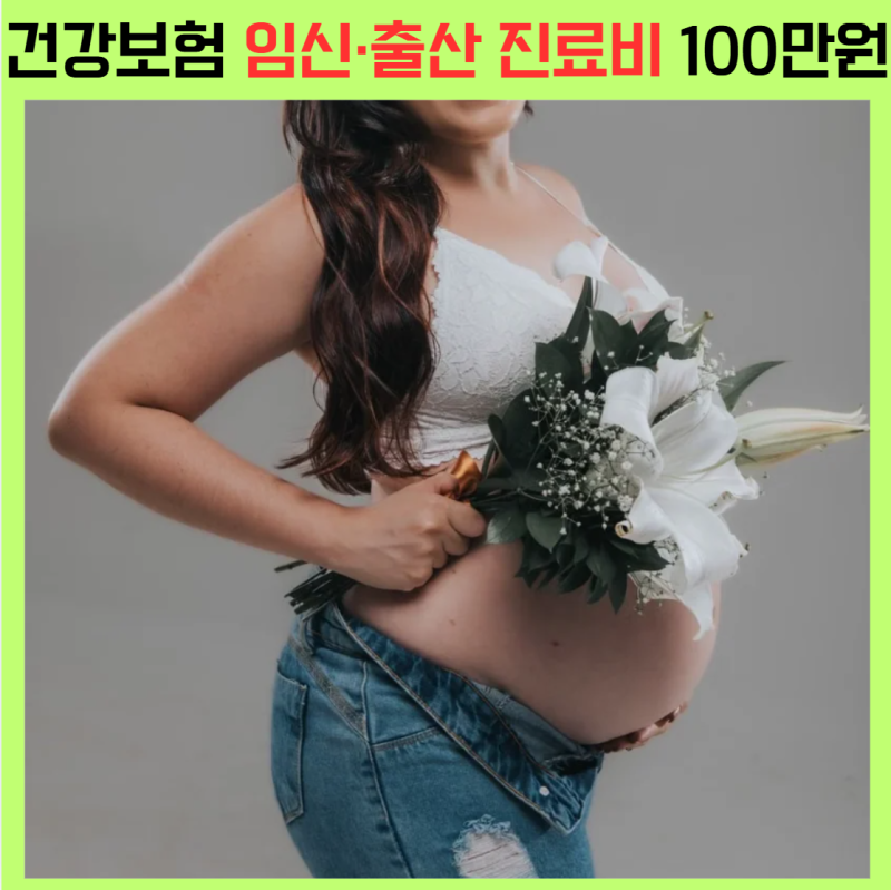 임산부라면 꼭 신청하세요! 건강보험 임신·출산 진료비 100만원 지원! 신청부터 사용기간까....