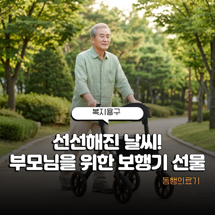 초가을 나들이 노인 보행기 종류와 가격 정리했어요 천안 서북구 성환읍 대여 안내
