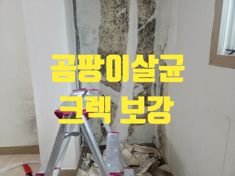 구로동 원룸 내부 단열공사 Part-1(도배지 제거, 곰팡이 살균, 크렉 보강, 바이오 실리콘 코킹)