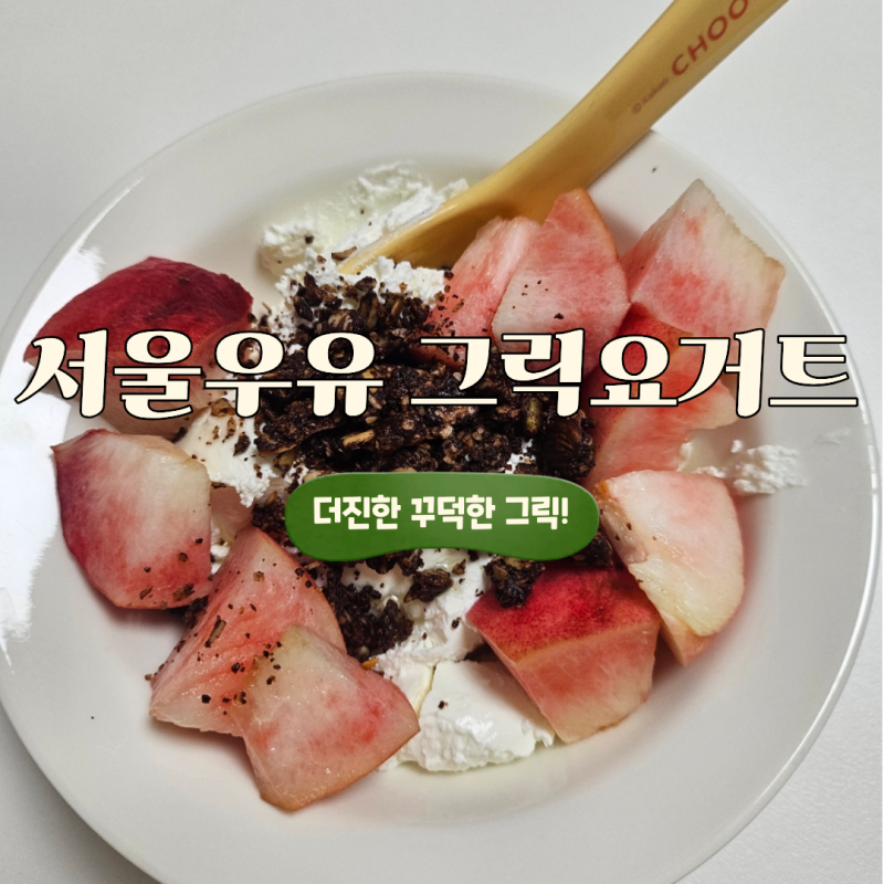 서울우유 더진한 그릭요거트 오리지날 100g 칼로리 내돈내산 꾸덕한 그릭요거트 추천