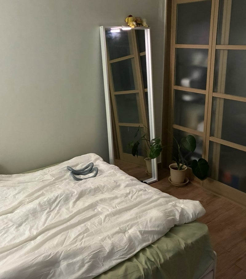 원룸에서 퀸침대 쓰는 1인가구 (5년 사용 후기, 추천, 비추천)