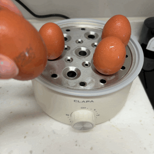클래파 올스텐 계란찜기, 계란찜기 유목민 탈출