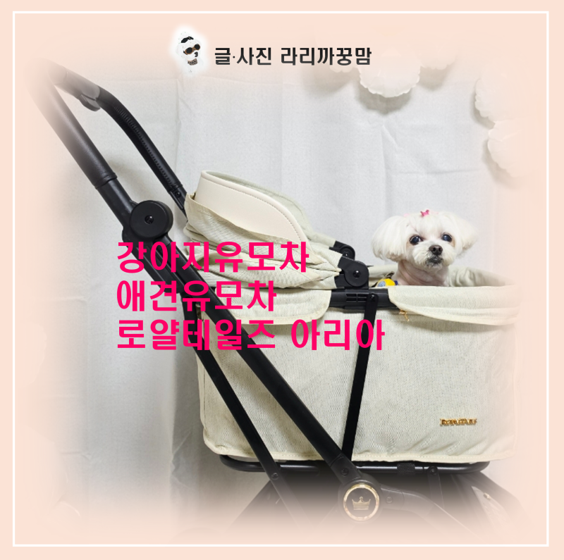 초경량과 오토폴딩의 만남! 로얄테일즈 아리아 개모차 언박싱