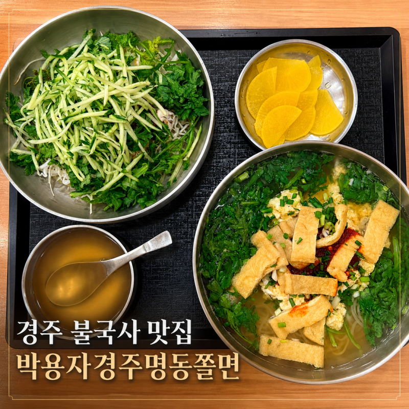 경주 불국사 맛집 박용자경주명동쫄면 불국점 비빔쫄면 맛집 방문 후기