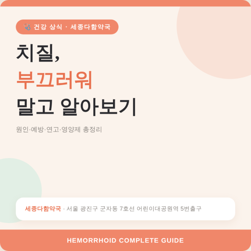 치질(치핵) 치료와 원인·예방·관리·연고·영양제 총정리