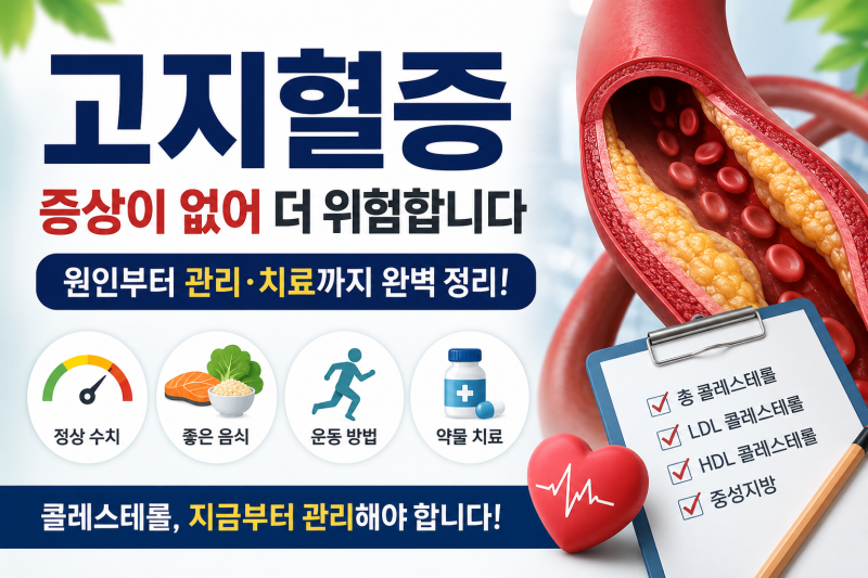 고지혈증, 증상이 없다고 방치하면 안 되는 이유｜콜레스테롤 정상 수치부터 음식·운동·치....