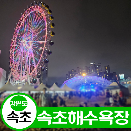 강원도 속초 가볼만한 곳ㅣ속초해수욕장 (주차장, 파라솔, 튜브) 애견동반 속초 여행 1박 2일 ....