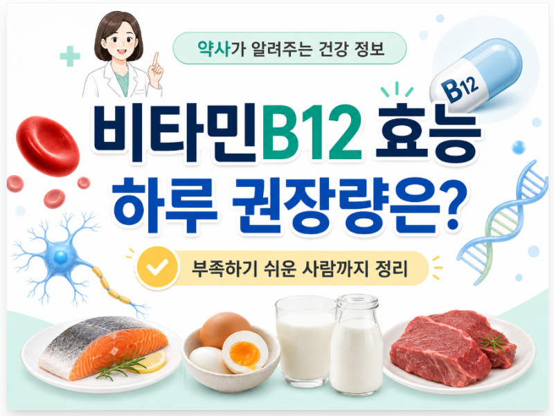 비타민B12 효능, 하루 권장량은? 부족하기 쉬운 사람까지 정리