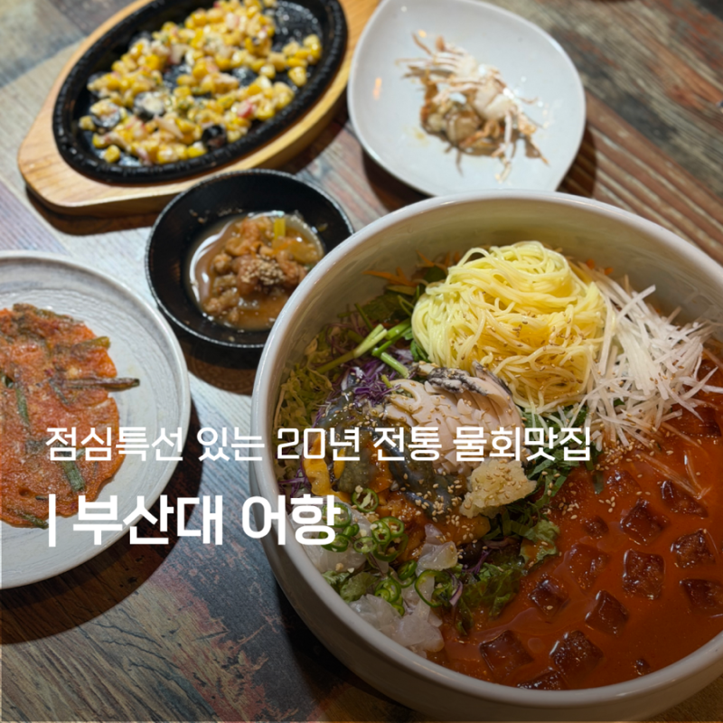 부산대 20년 전통 물회 맛집 어항 내돈내산 맛집 추천 금정구 부산대 점심특선 디지털 온누리....