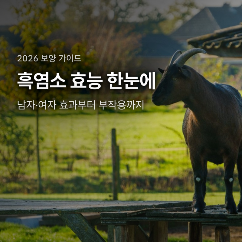 흑염소 효능, 남자·여자 효과 다를까? 부작용까지