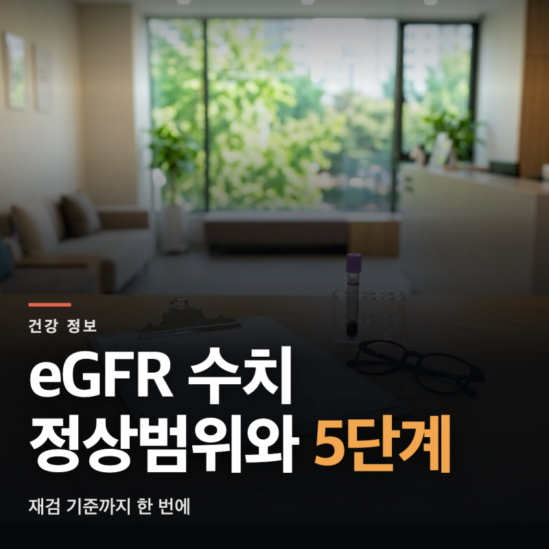 eGFR 수치 정상 범위와 5단계 분류, 재검 기준 총정리